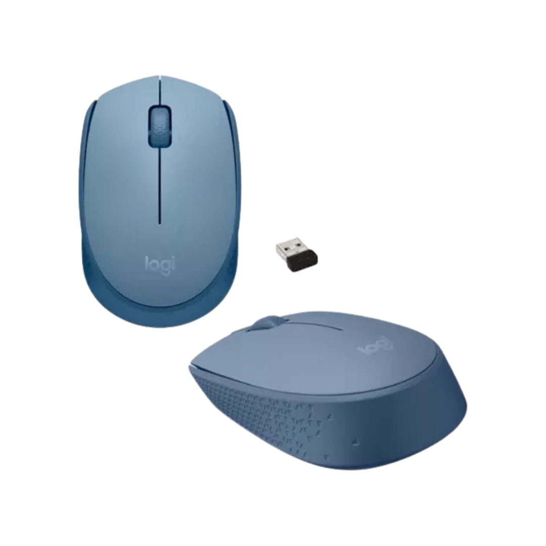 Mouse Logitech M170